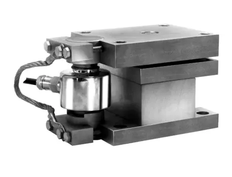 55-20 Weigh Module