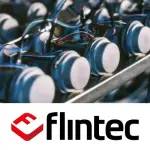 Flintec